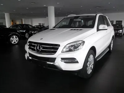 ML 250
